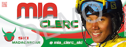 80x30cm  banner. Click on image demo-banner