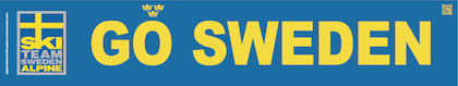 Banner Team Sweden 160x30