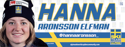80x30cm  banner. Click on image demo-banner