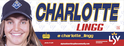 80x30cm  banner. Click on image demo-banner
